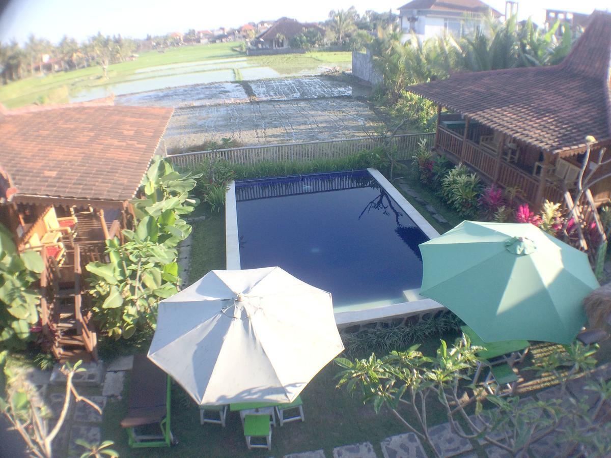 Green Paddy Hostel & Villa Ubud Exterior foto